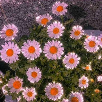 勇者荣耀安卓测试服下载